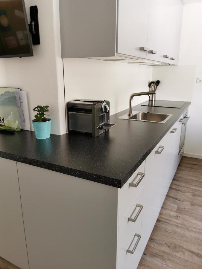 Tgesa Dutg Grond Apartment Sedrun Ngoại thất bức ảnh
